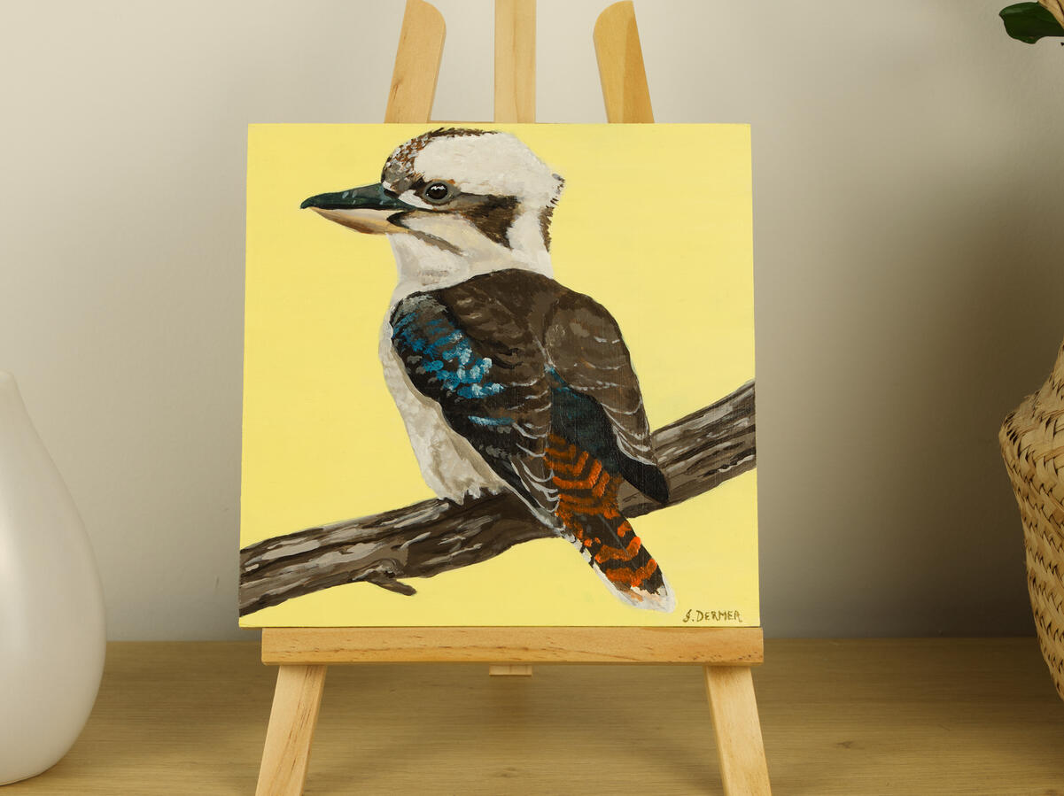 Hello, Kookaburra