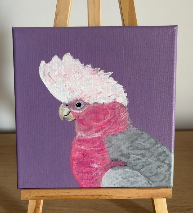 That Galah Look