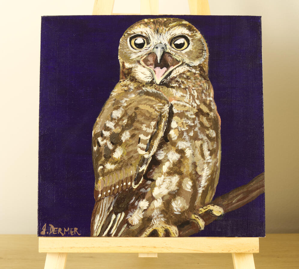 Night Watcher (Boobook Owl)