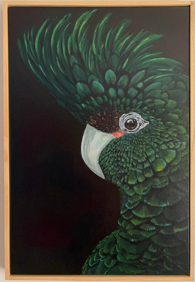 Crowned in Emerald Light (Black Cockatoo)